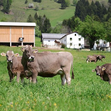 Ekoloska Turisticna Kmetija Pri Lovrcu Tolmin Eksteriør billede